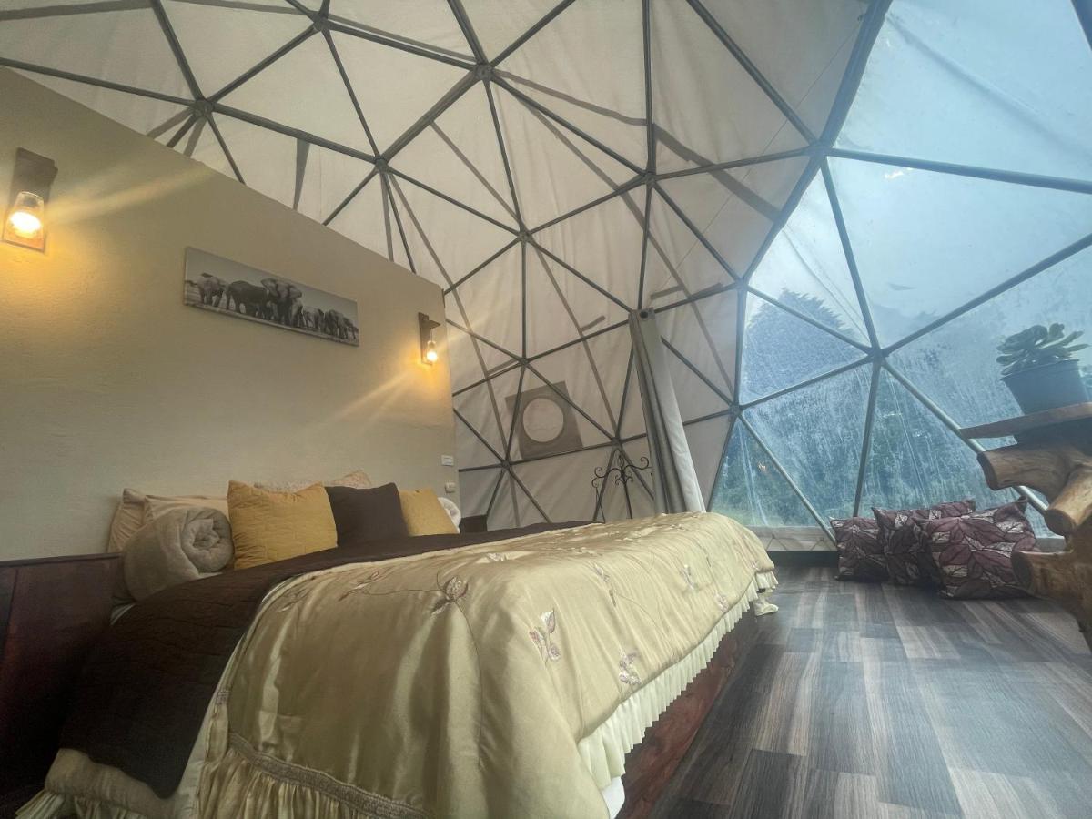 Lodge Poas Volcano Observatory & Glamping